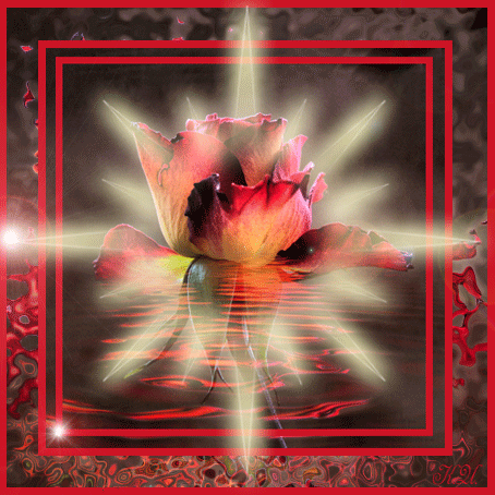 Красивая авторская анимационная картинка цветы Шикарный блестящий цветок, красная рамка от К.И.