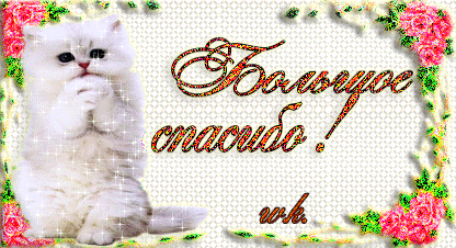 Красивая авторская анимационная картинка спасибо Белый пушистый котенок со сложенными лапками и блестящей шерстью выражает свою благодарность, рамка из розовых роз от W.K. скачать бесплатно