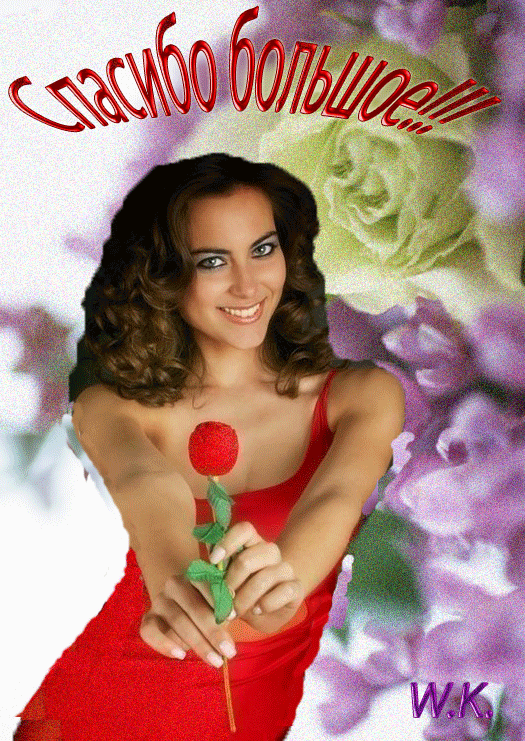 Красивая авторская анимационная картинка спасибо Шикарная накрашенная женщина в красном блестящем платье дарит алую розу на фоне розово-белых цветов от W.K. скачать бесплатно