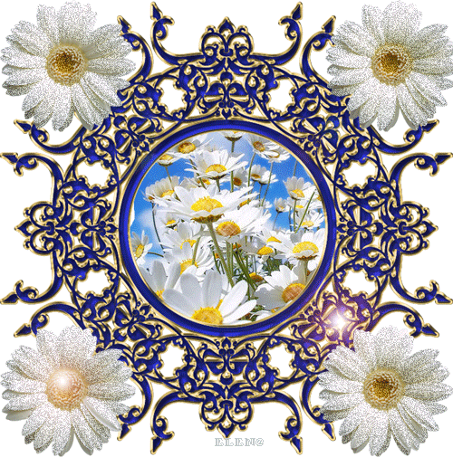 Красивая авторская анимационная картинка цветы Сияющие ромашки и синяя рамка в золоте от Елена Буянова