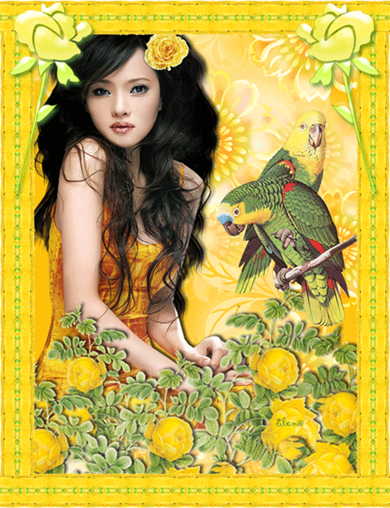  Красивая авторская анимационная картинка девушки Восточная красавица с темными длинными волосами, попугаи, желтые цветы от Елена Буянова 