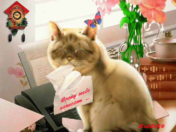 Анимационная картинка животные  - Котик спешит поздравить тебя!