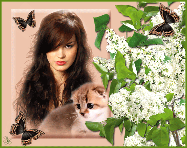  Красивая авторская анимационная картинка девушки Девушка с коричневыми длинными волосами, котенок, дерево с белыми цветочками от Зоя Березка